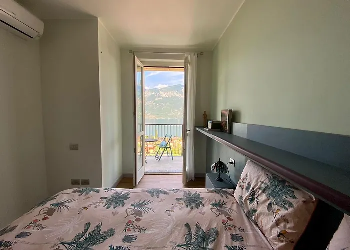 Daire Stella Volante