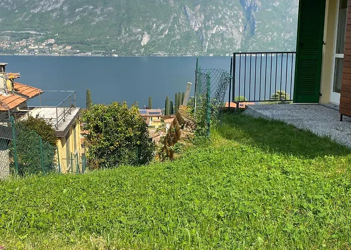 Stella Volante Daire